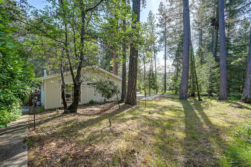 26270 Green Acres Road Colfax, CA 95713 - Photo 34 of 44