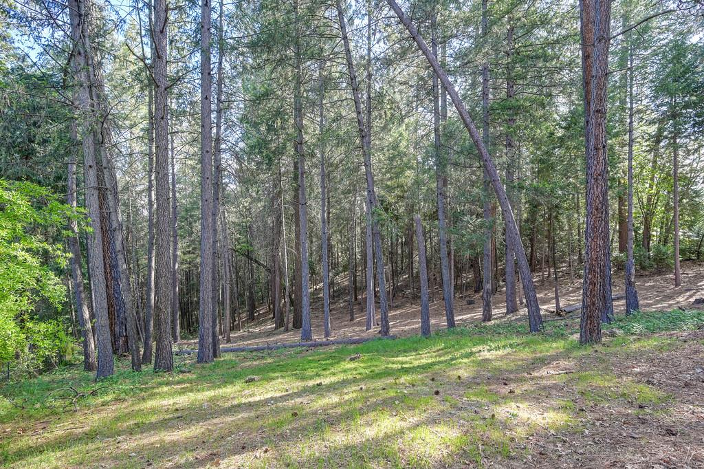 26270 Green Acres Road Colfax, CA 95713 - Photo 42 of 44