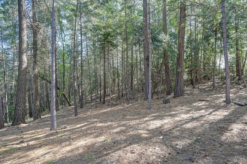 26270 Green Acres Road Colfax, CA 95713 - Photo 43 of 44