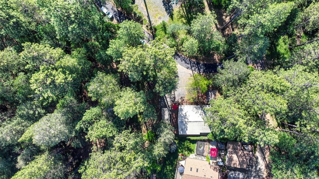 26270 Green Acres Road Colfax, CA 95713 - Photo 44 of 44