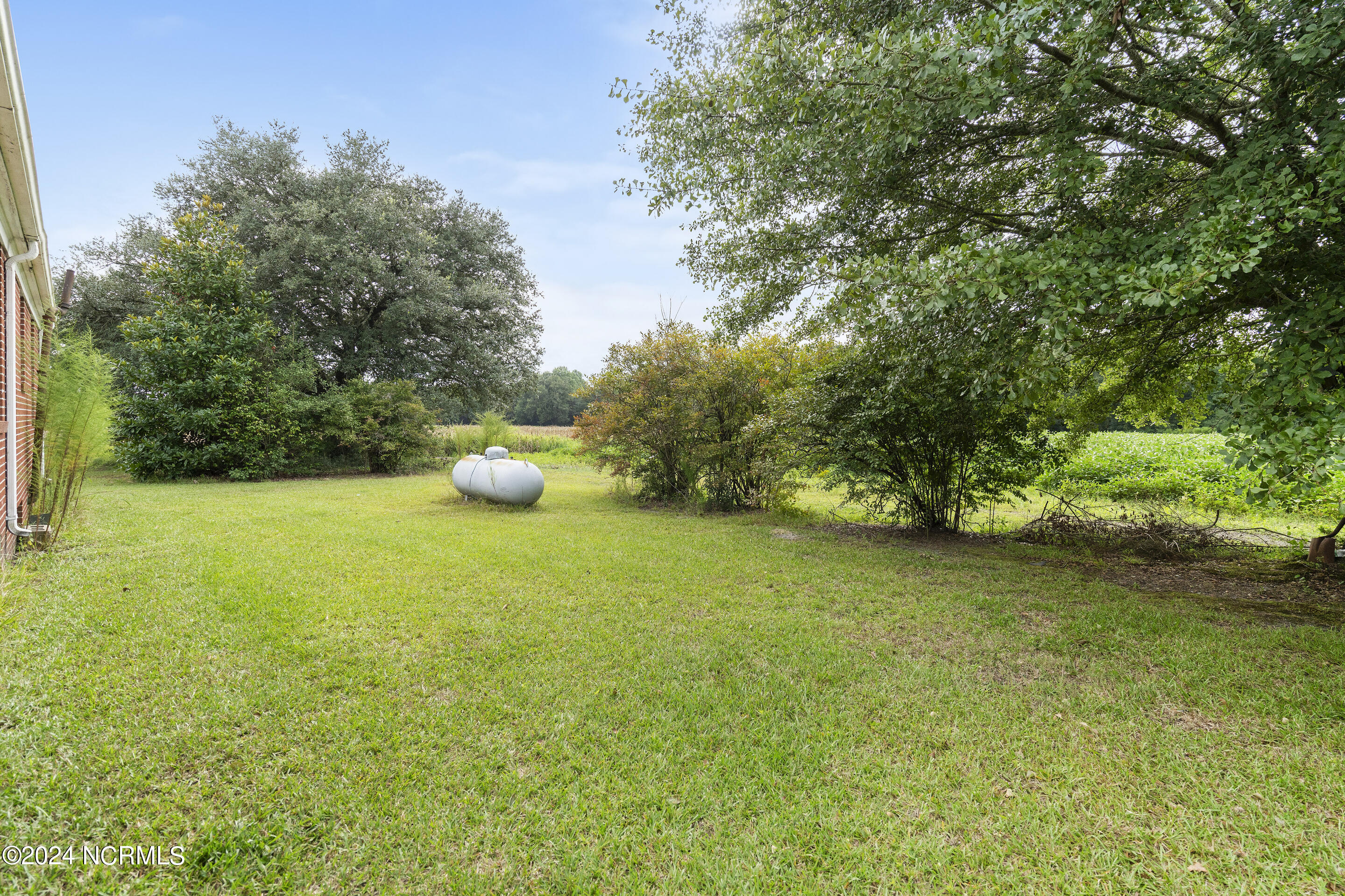 213 Mutt Griffin Road Pink Hill, NC 28572 - Photo 29 of 33 Back Yard