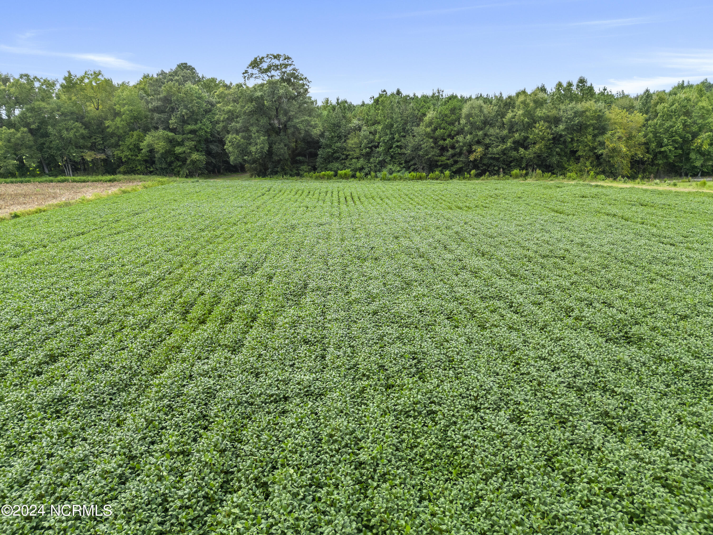 213 Mutt Griffin Road Pink Hill, NC 28572 - Photo 30 of 33 Crop Lease - Soybeans