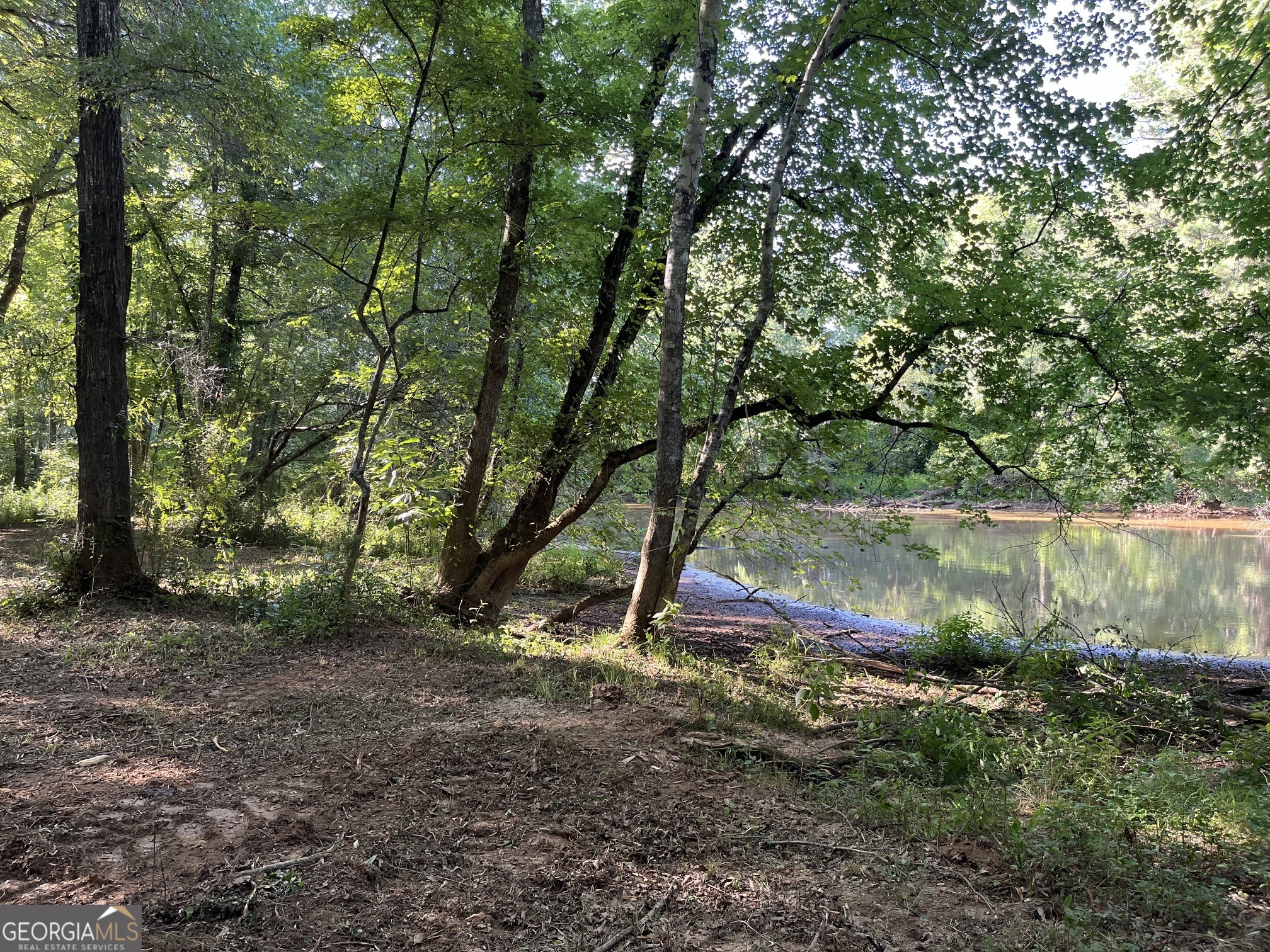0 Sportsman Club Road Grantville, GA 30220 - Photo 46 of 46 a view of a lake with a yard