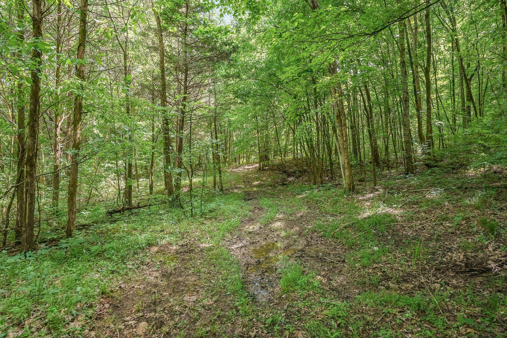 8537 Taliaferro Road Eagleville, TN 37060 - Photo 29 of 41