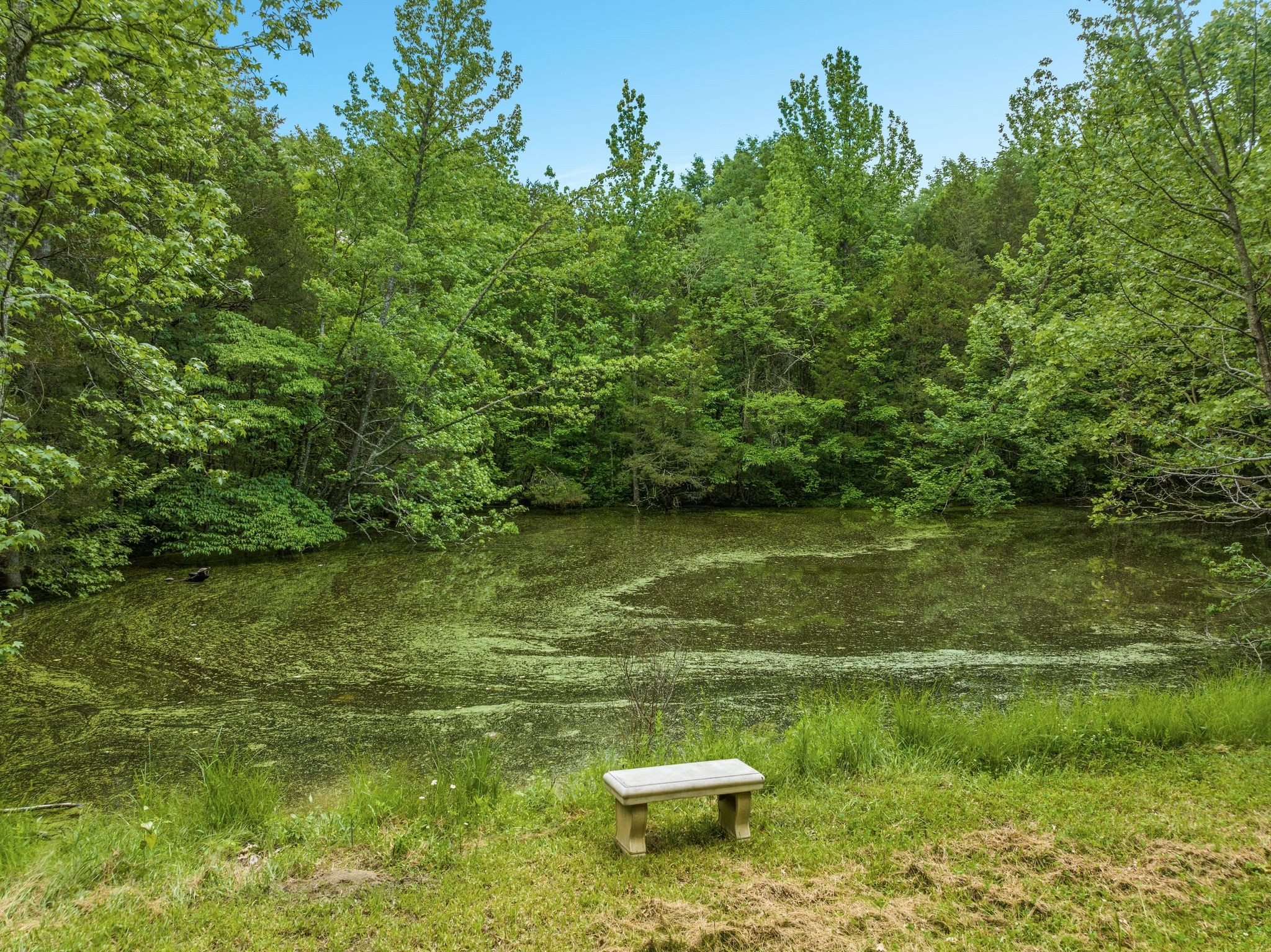 8537 Taliaferro Road Eagleville, TN 37060 - Photo 31 of 41