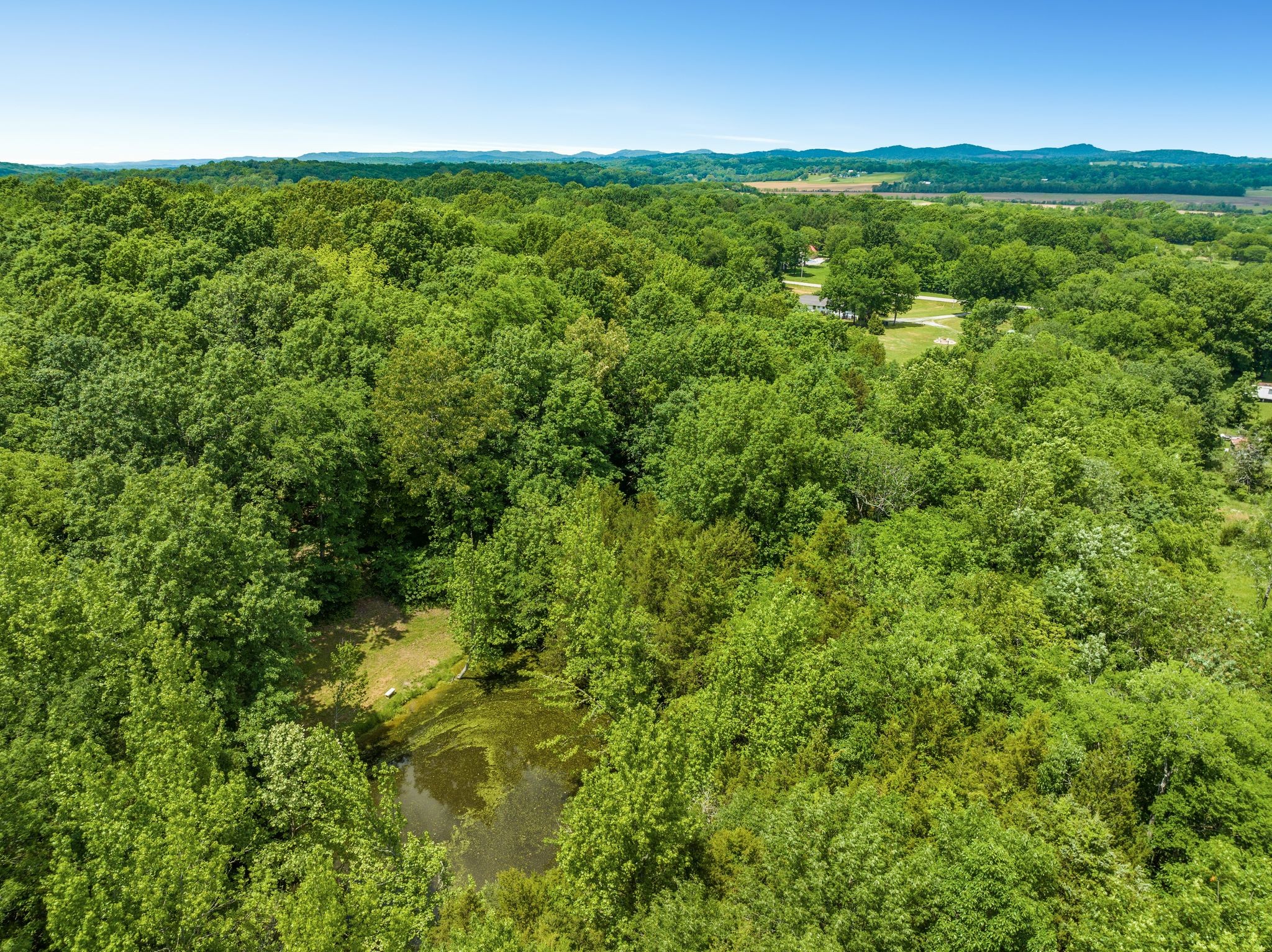 8537 Taliaferro Road Eagleville, TN 37060 - Photo 33 of 41