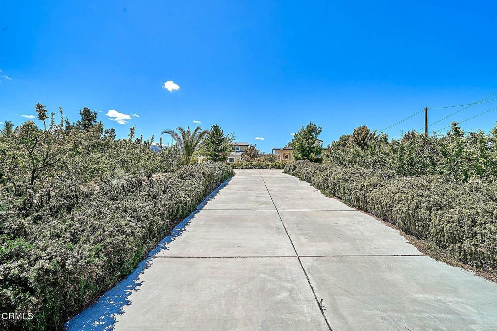 9020 Pionero Road Pinon Hills, CA 92372 - Photo 41 of 71 69