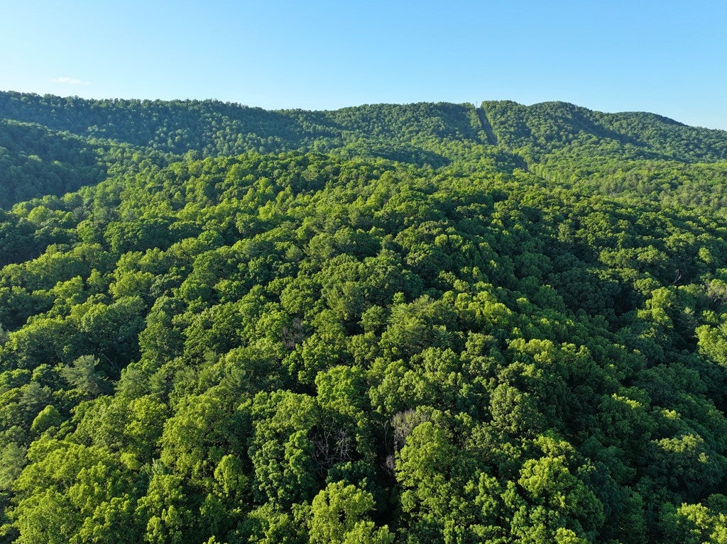 Tbd Webb Mountain Road Boones Mill, VA 24065 - Photo 31 of 36 Gallery Image 31