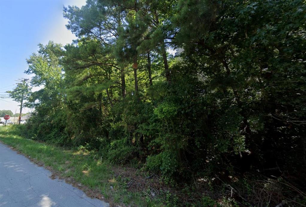 0 Old Mansfield Road Shreveport, LA 71118 - Photo 6 of 12 a view of a forest with a tree