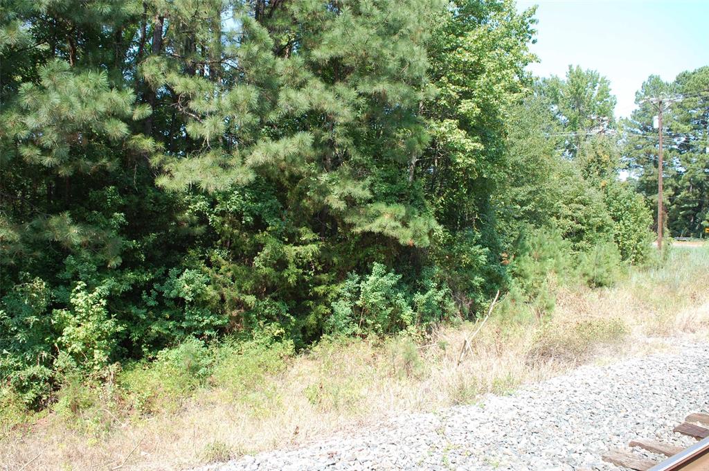 0 Old Mansfield Road Shreveport, LA 71118 - Photo 10 of 12 a view of a yard covered with trees
