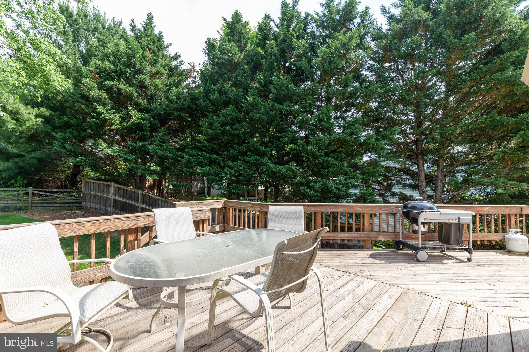 4420 Cub Run Road Chantilly, VA 20151 - Photo 19 of 20 Spacious Deck Overlooks Great Backyard