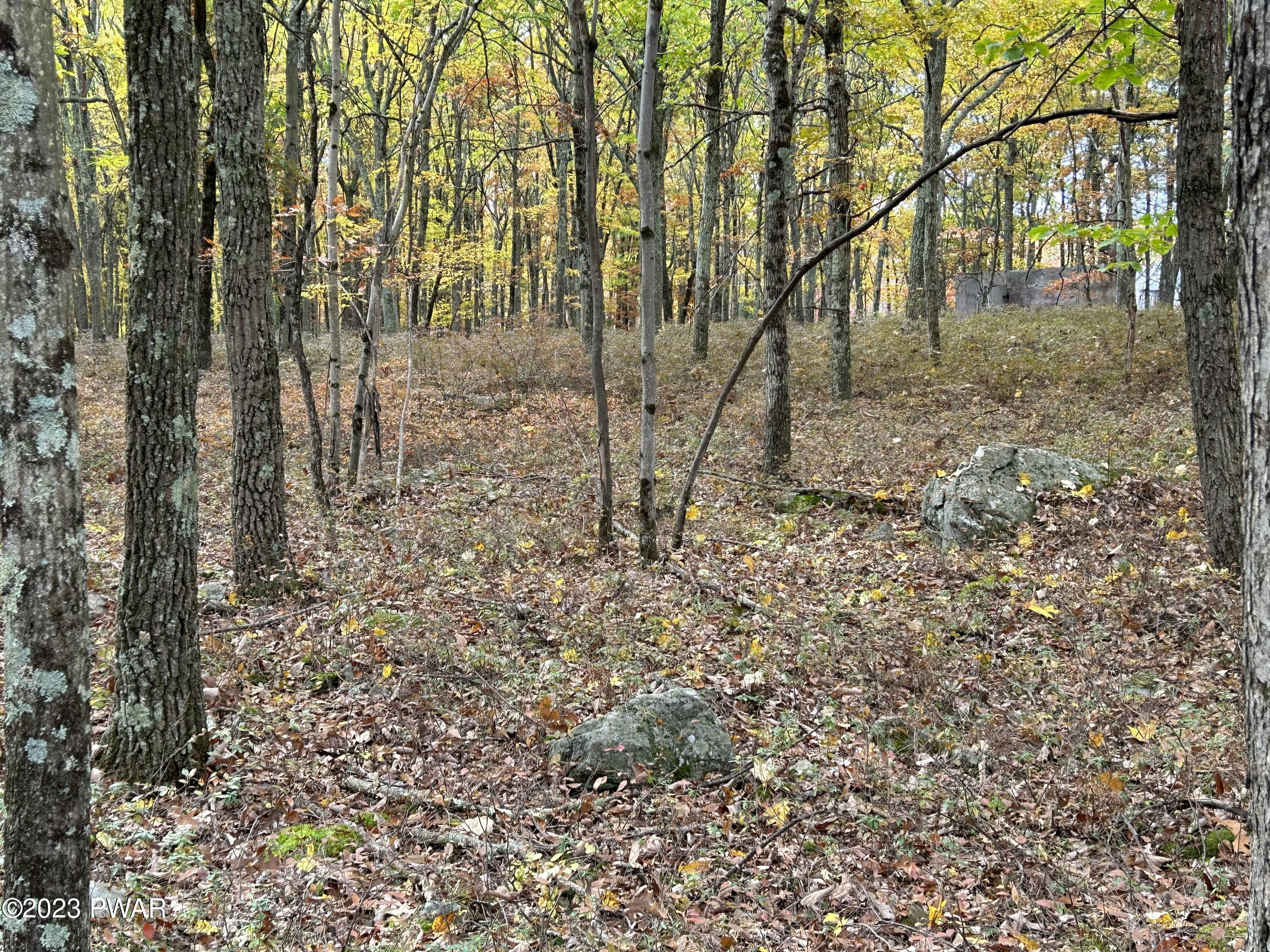 Lot 26 Timber Ridge Drive Hawley, PA 18428 - Photo 12 of 18