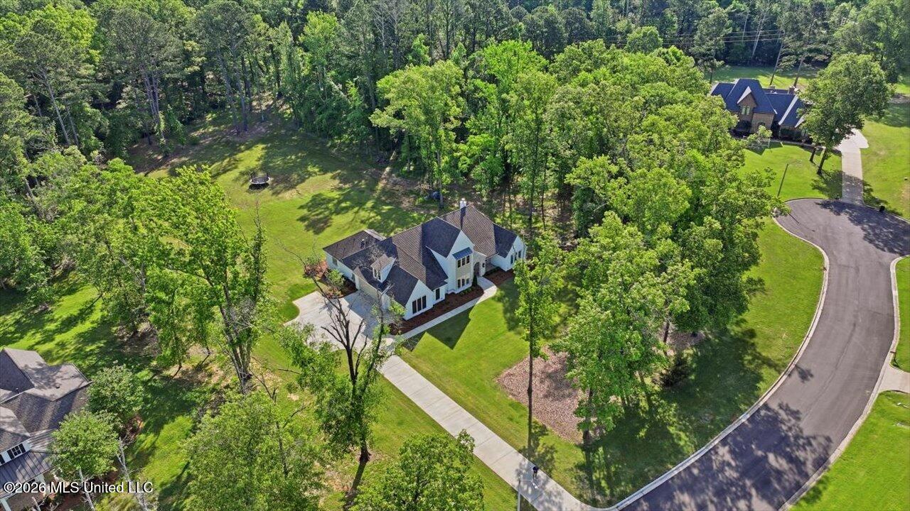 172 Chantilly Drive Madison, MS 39110 - Photo 66 of 67 19-172 Chantilly Dr _ Home Tours MS