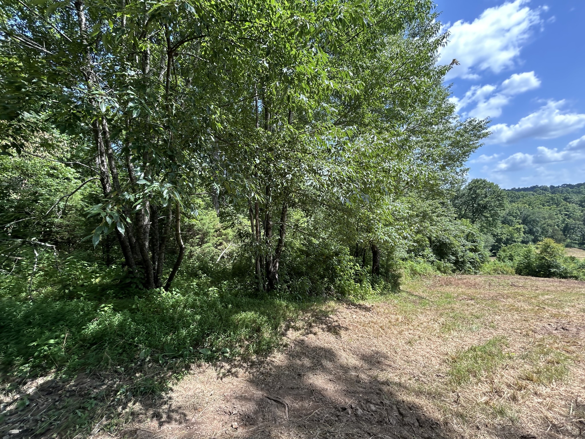1 New Hope Cemetery Road Pulaski, TN 38478 - Photo 17 of 21