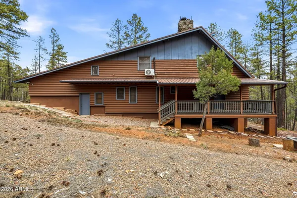 a view of a yard with plants and trees