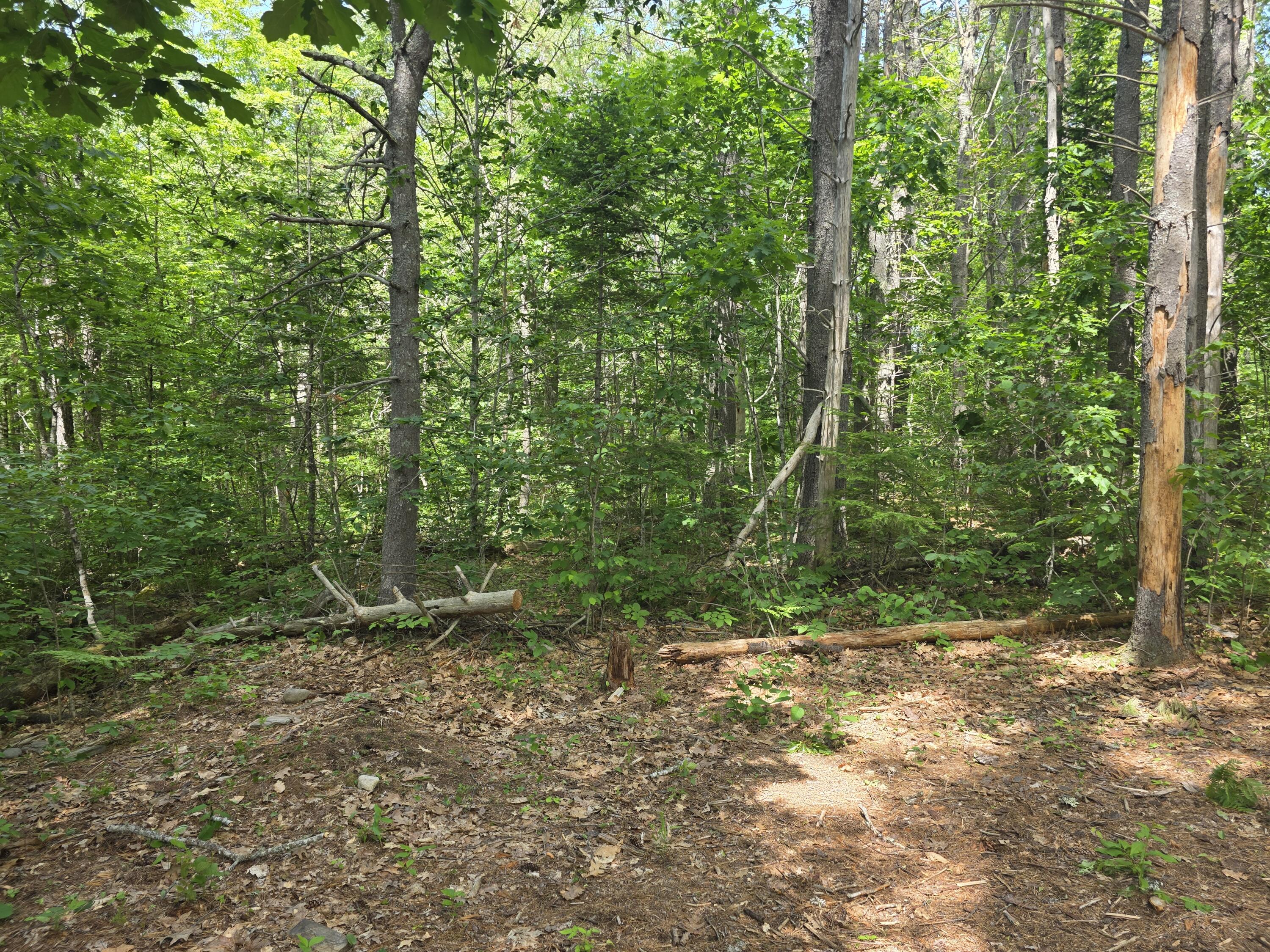 91 Frye Road Somerville, ME 04348 - Photo 10 of 12