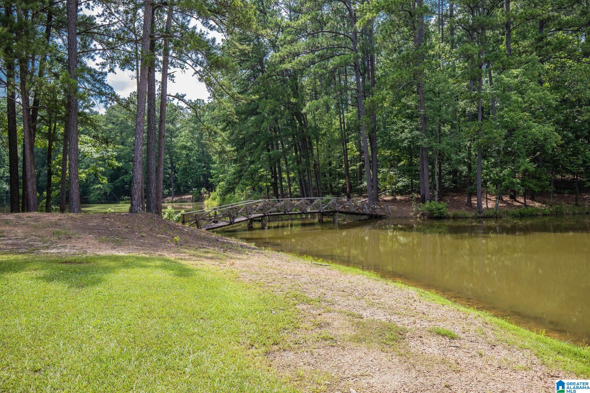 Lot 23 Saunders Bridge Road, Unit 23 Sterrett, AL 35147 - Photo 24 of 30