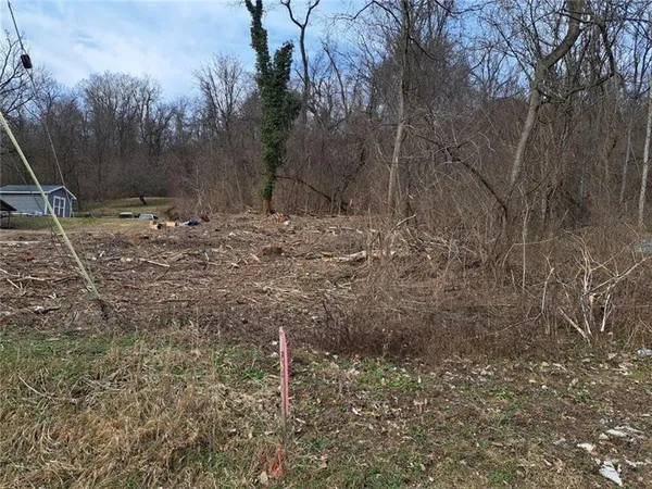 a view of a backyard of the house