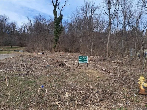 a view of a fire pit with large trees