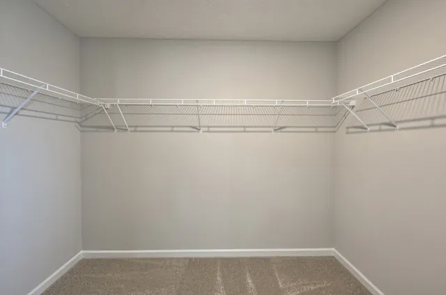 a view of an empty walk in closet
