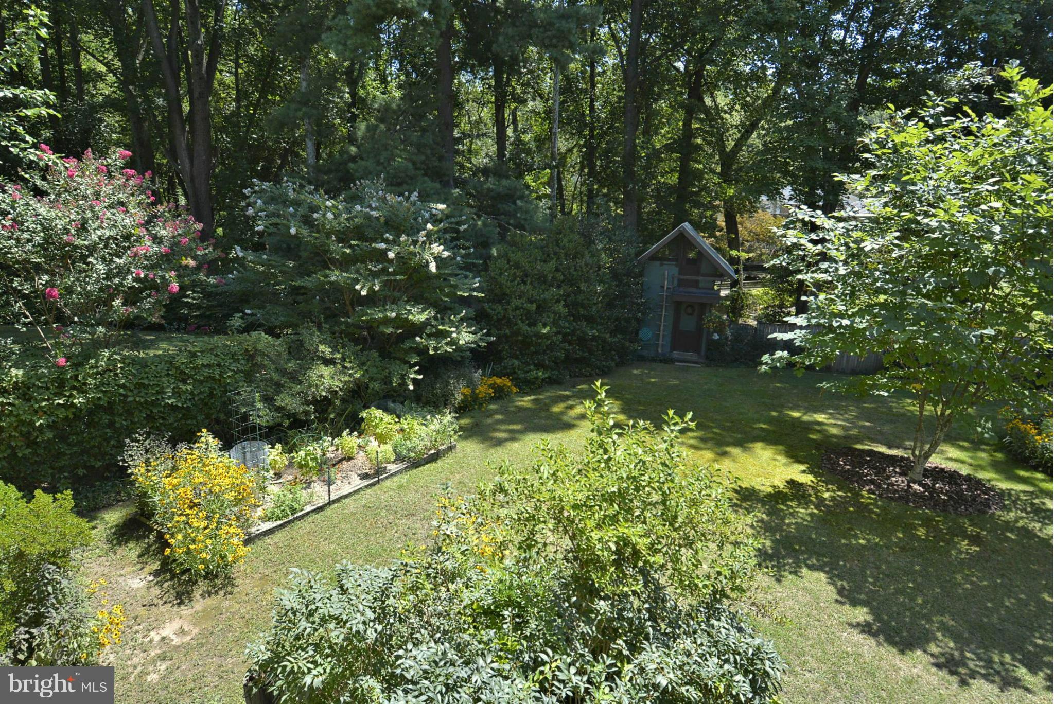 604 Winona Court Silver Spring, MD 20902 - Photo 23 of 30 Back Yard Summer Gardens