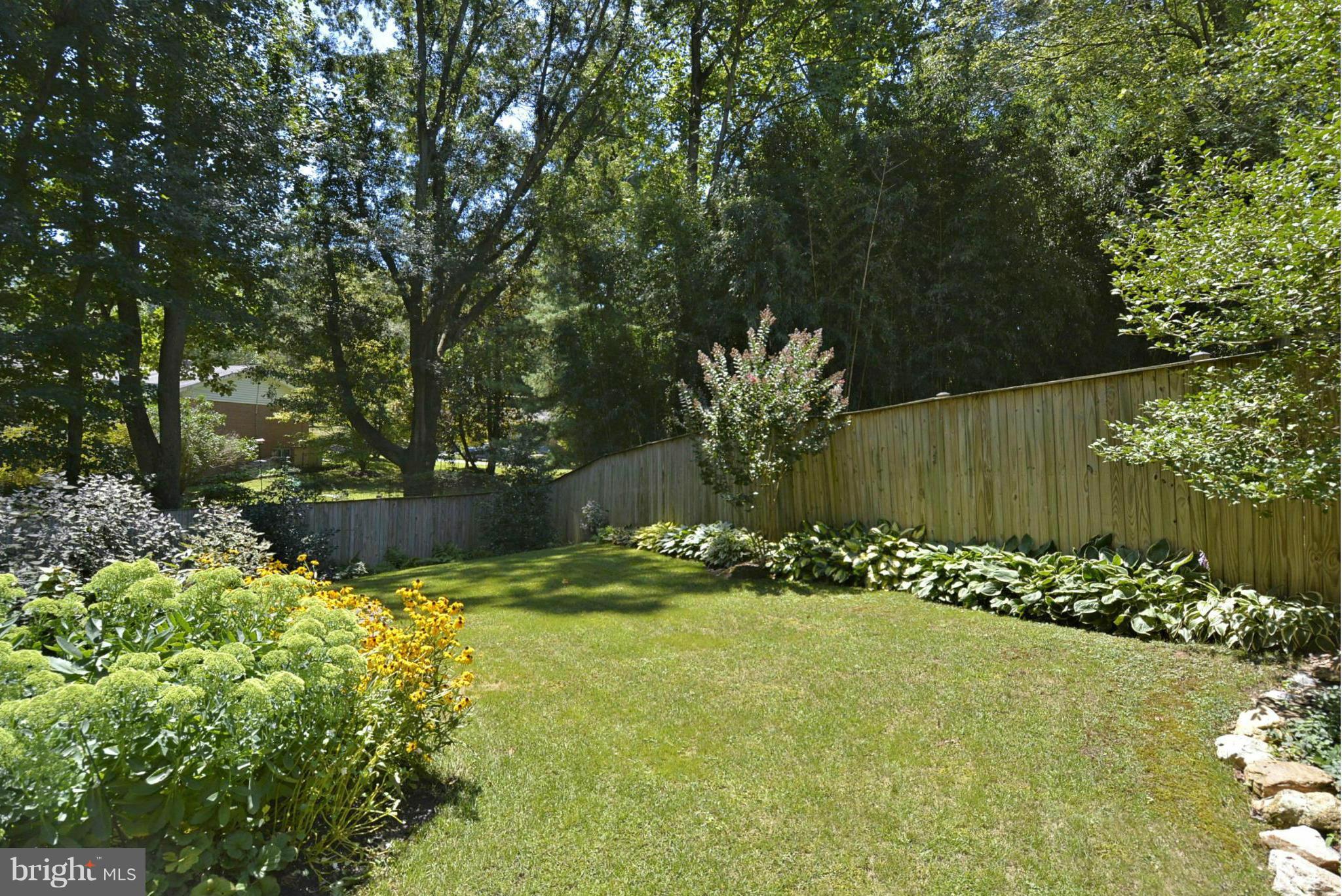 604 Winona Court Silver Spring, MD 20902 - Photo 25 of 30 Back Yard Summer Gardens