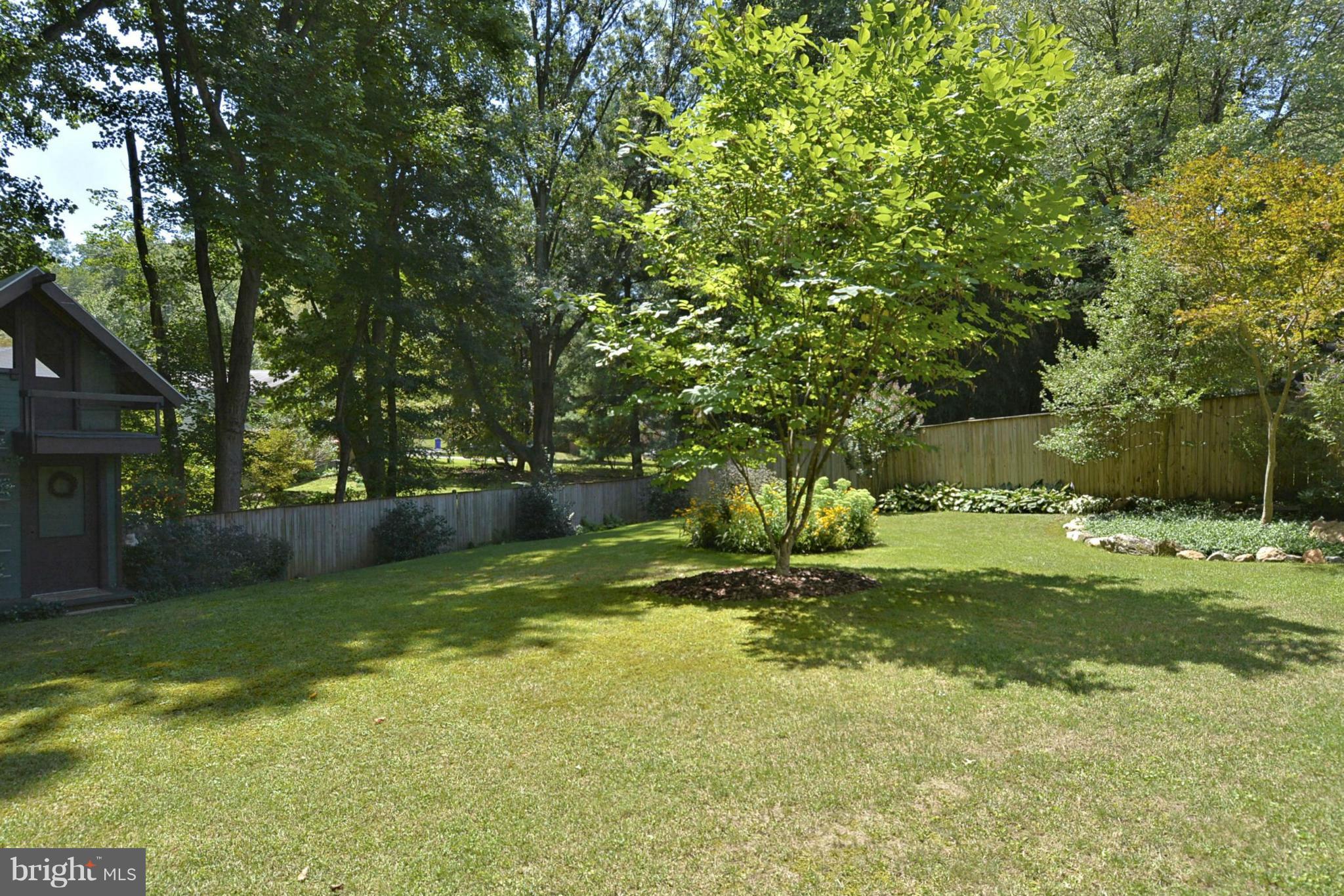 604 Winona Court Silver Spring, MD 20902 - Photo 26 of 30 Back Yard Summer Gardens
