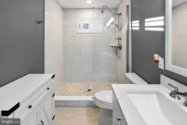 a bathroom with a sink a toilet a mirror and a vanity