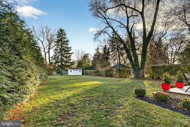 a view of a trees in a yard with large trees