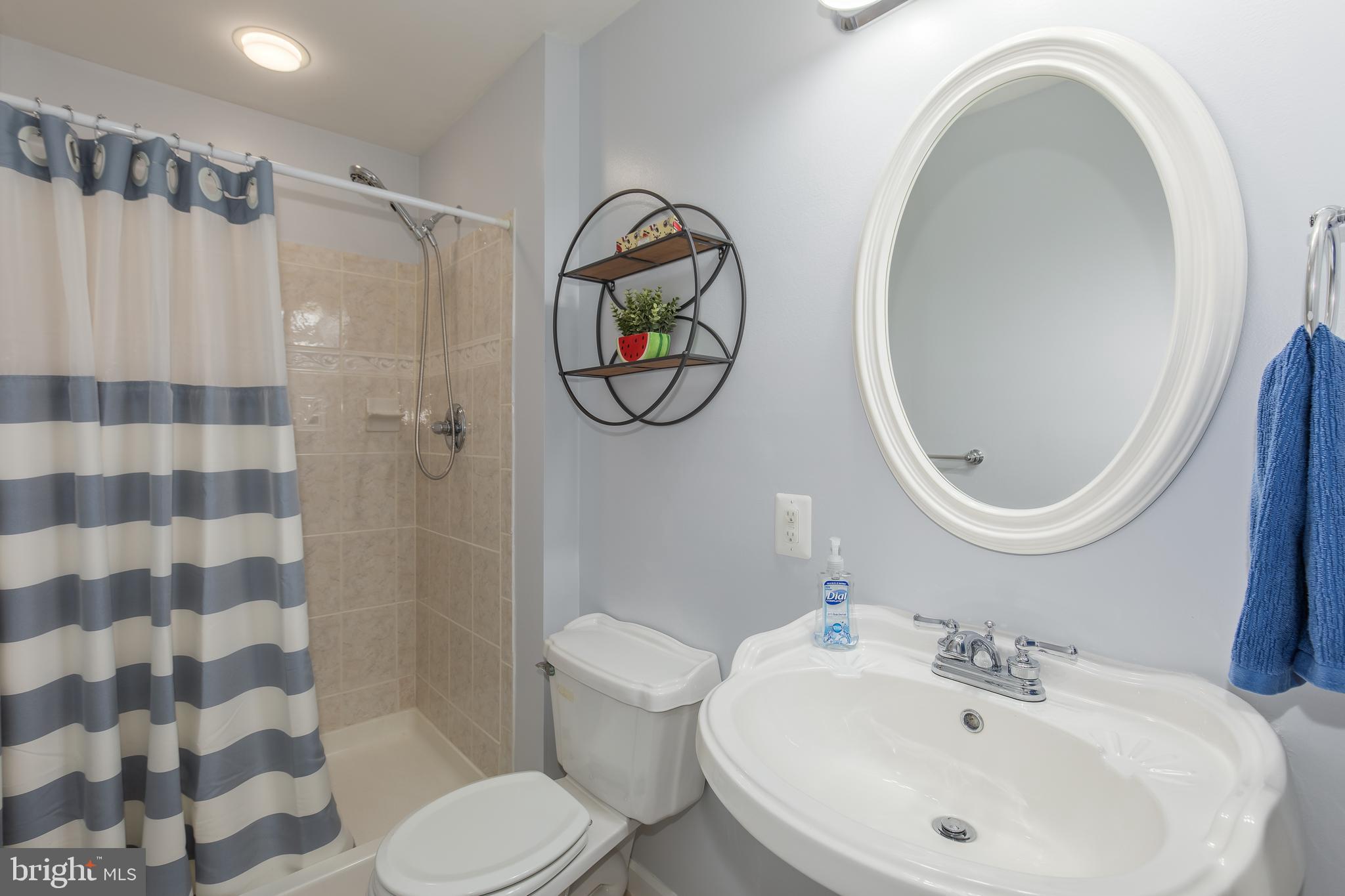 18302 Clear Smoke Road Boyds, MD 20841 - Photo 54 of 64 Lower Level Full Bathroom