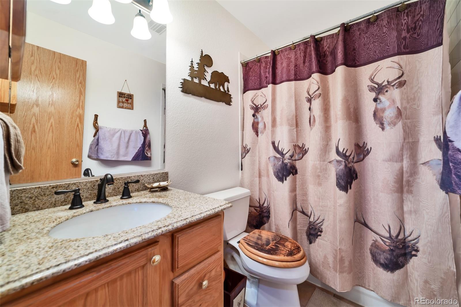 62 East Crosscut Road Bailey, CO 80421 - Photo 13 of 30