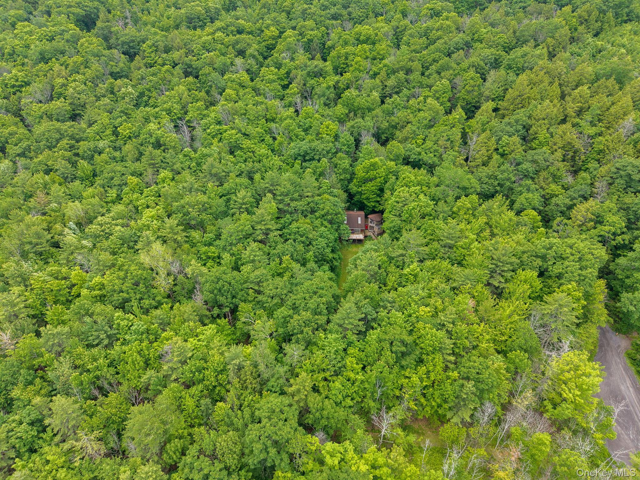 468 Treadlemire Road Berne, NY 12023 - Photo 38 of 44