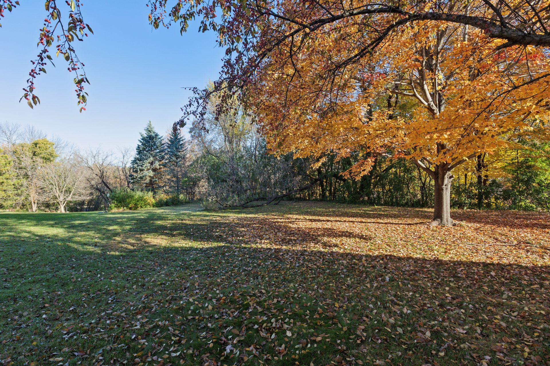 8566 Quarles Road Maple Grove, MN 55311 - Photo 42 of 49 Gallery Image 42