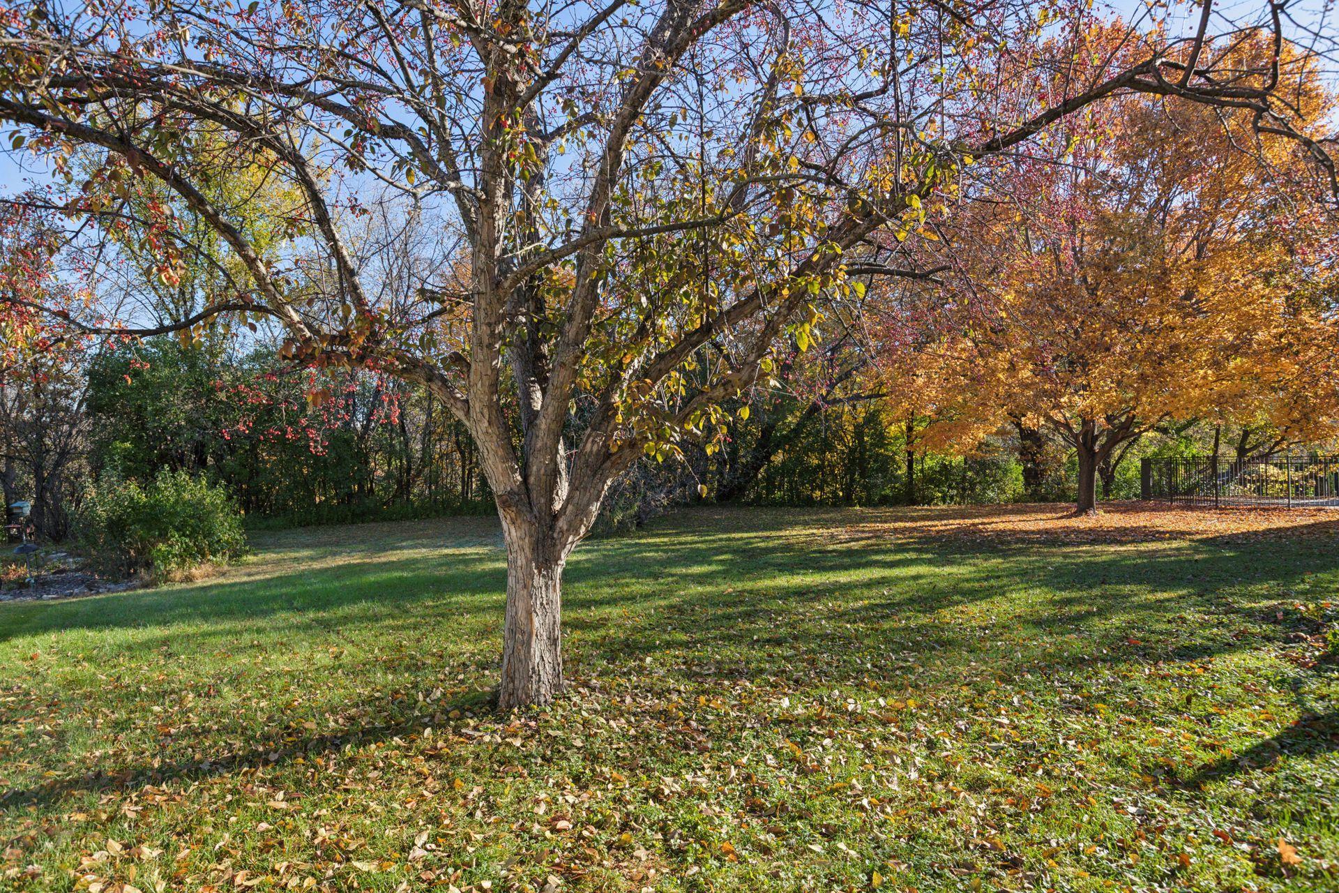 8566 Quarles Road Maple Grove, MN 55311 - Photo 43 of 49 Gallery Image 43