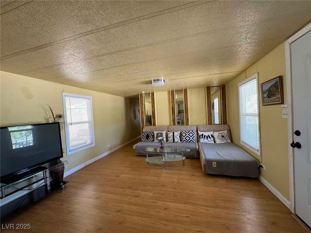 551 Piltz Road Pahrump, NV 89060 - Photo 2 of 22 Living room with wood finished floors and a textured ceiling