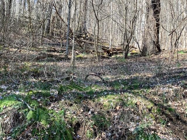 0 Utah Mountain Road, Unit 3 Waynesville, NC 28785 - Photo 12 of 19