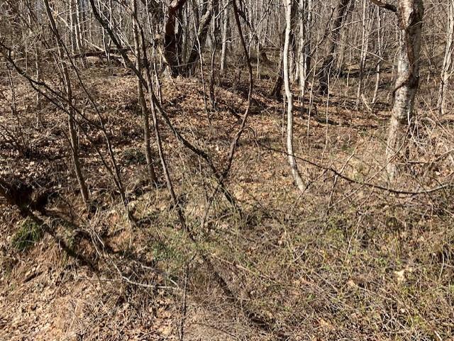 0 Utah Mountain Road, Unit 3 Waynesville, NC 28785 - Photo 13 of 19