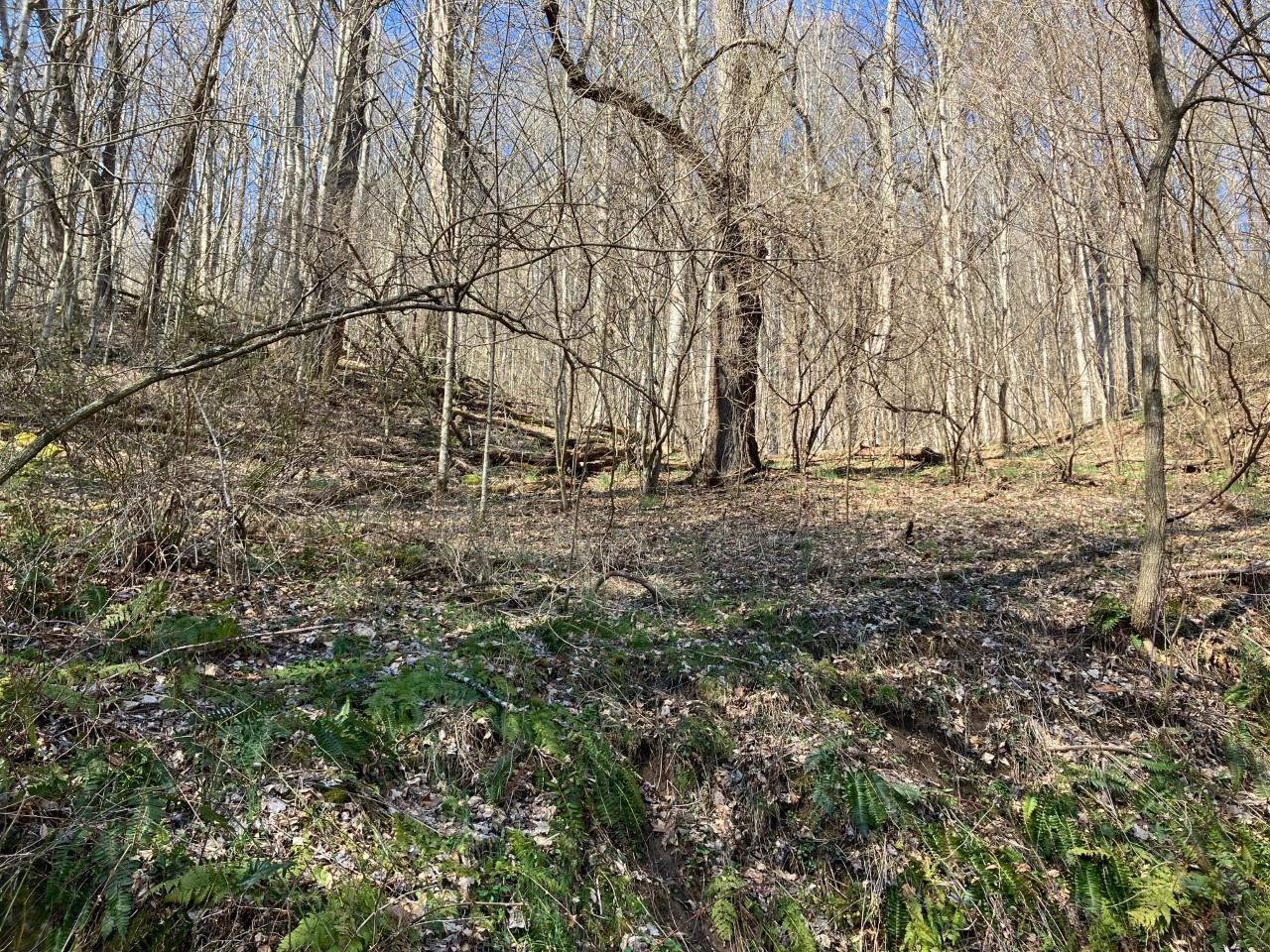 0 Utah Mountain Road, Unit 3 Waynesville, NC 28785 - Photo 14 of 19