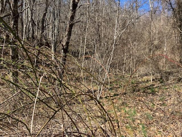 0 Utah Mountain Road, Unit 3 Waynesville, NC 28785 - Photo 15 of 19