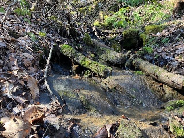 0 Utah Mountain Road, Unit 3 Waynesville, NC 28785 - Photo 2 of 19