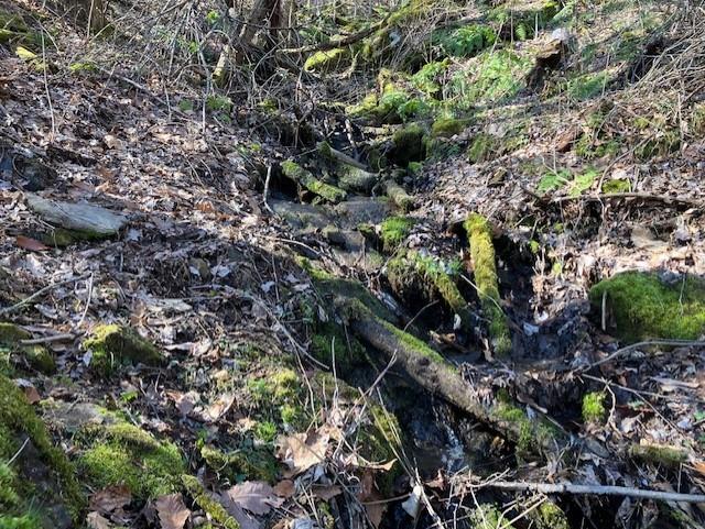 0 Utah Mountain Road, Unit 3 Waynesville, NC 28785 - Photo 10 of 19