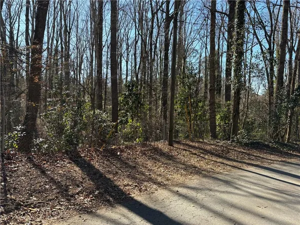 a view of a backyard with trees