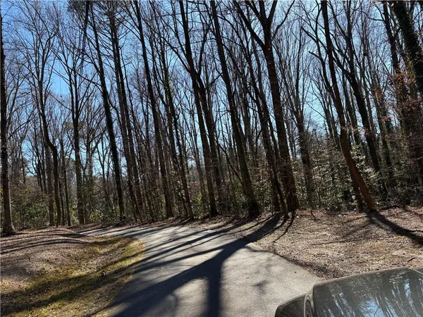 a view of a backyard with pathway