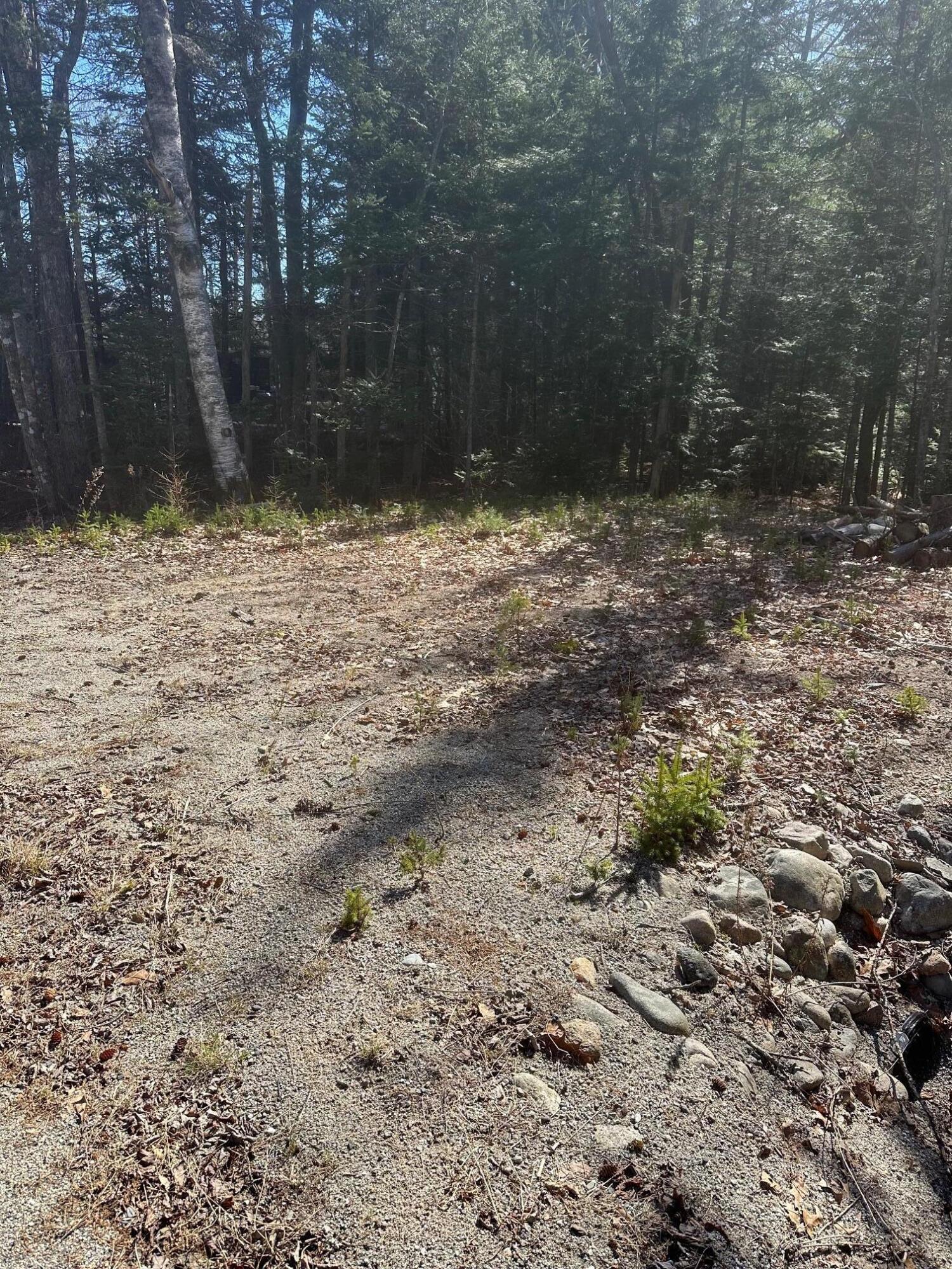 0 Route 1 Route Gouldsboro, ME 04607 - Photo 1 of 12 Driveway GPR