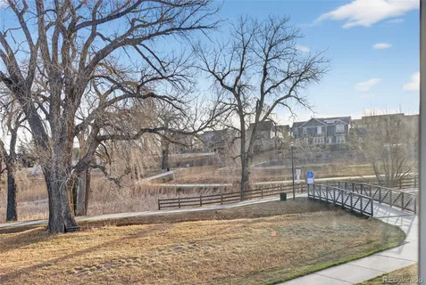 a view of a backyard with large trees