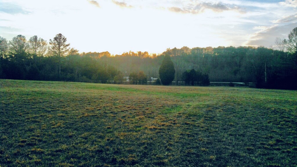 136 Fir Road Northeast, Unit TRACT 16 Ranger, GA 30734 - Photo 8 of 12 Gallery Image 8