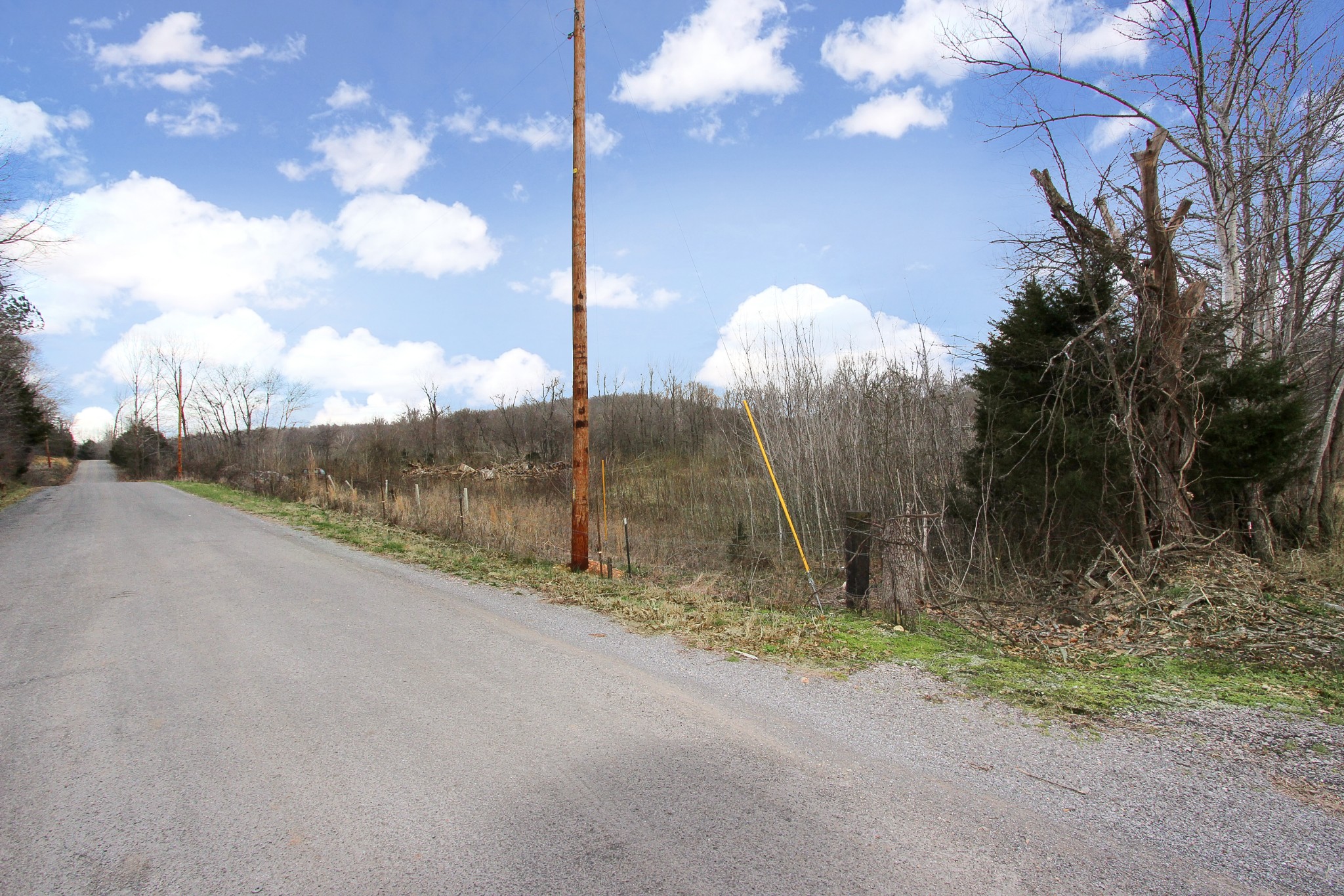 9 Melton Springs Road Dover, TN 37058 - Photo 4 of 15 Gallery Image 4