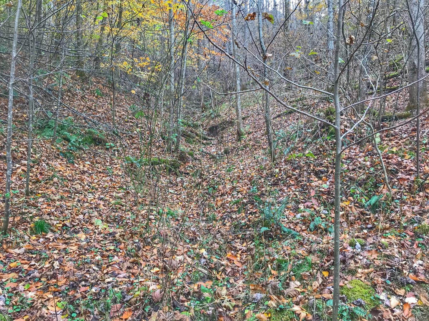 889 South Fork Road Stanton, KY 40380 - Photo 16 of 19 Photo 16