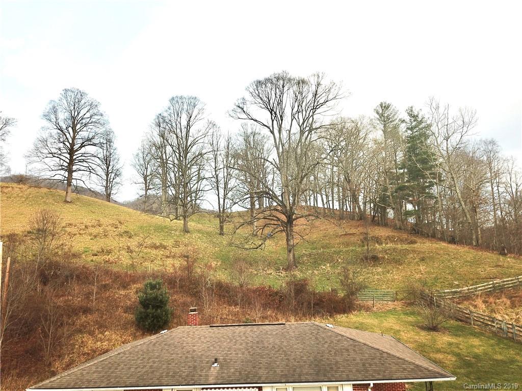8617 Cruso Road Canton, NC 28716 - Photo 3 of 30 a view of yard with trees in the background
