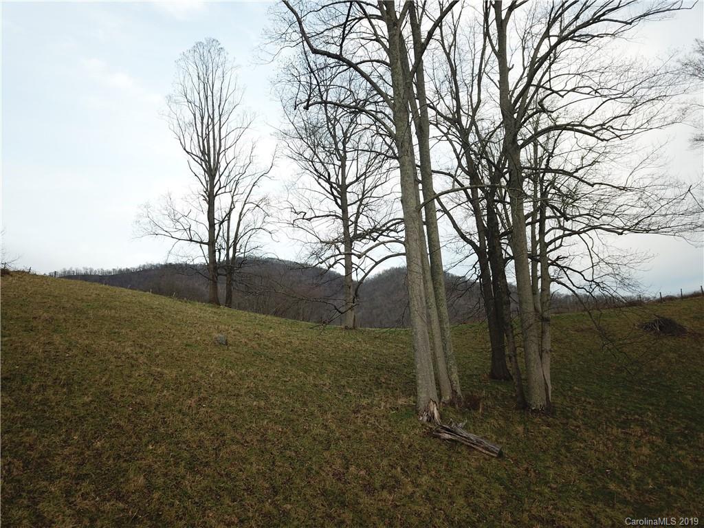 8617 Cruso Road Canton, NC 28716 - Photo 28 of 30 a view of outdoor space and yard
